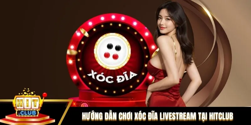 Hướng dẫn chơi Xóc đĩa livestream tại Hitclub chuẩn xác Hướng dẫn chơi Xóc đĩa livestream tại Hitclub chuẩn xác